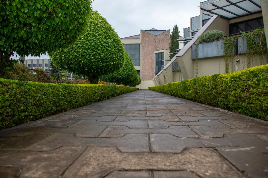 Jardin mediterraneen entretenu sur la Cote d Azur